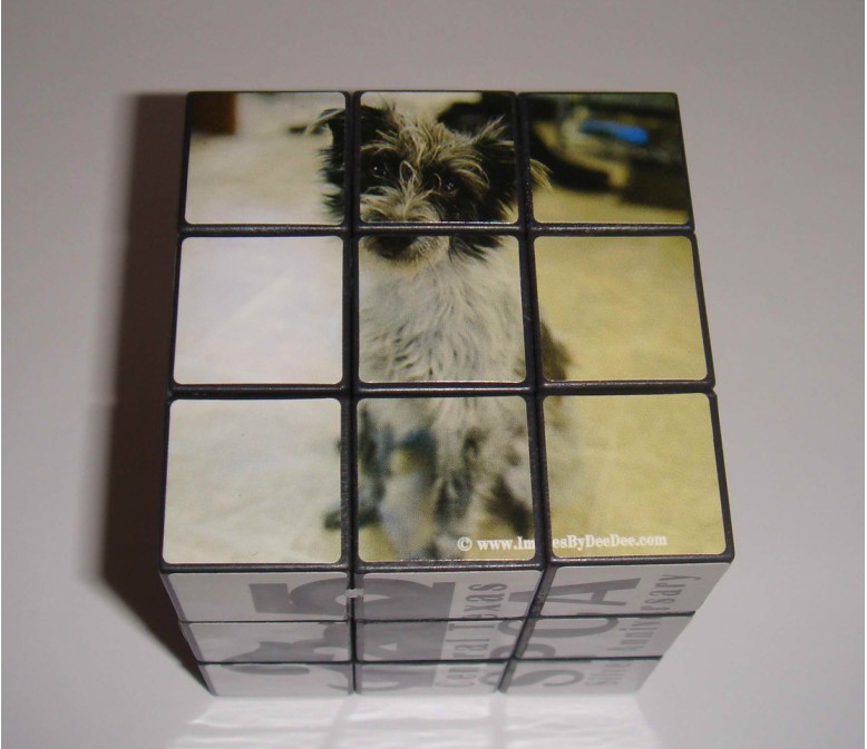 custom rubiks puzzle