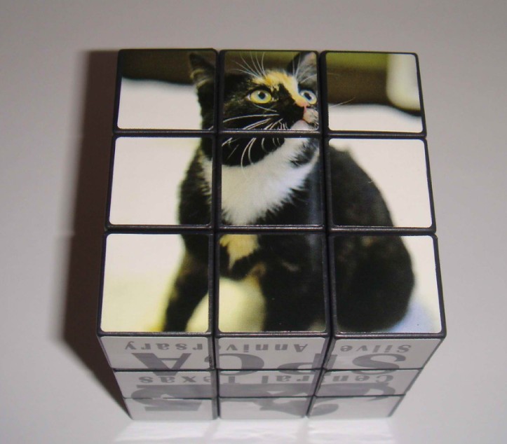 custom rubiks puzzle