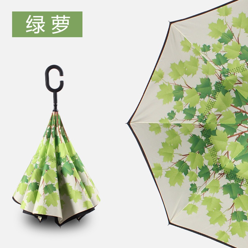 inverted umbrella